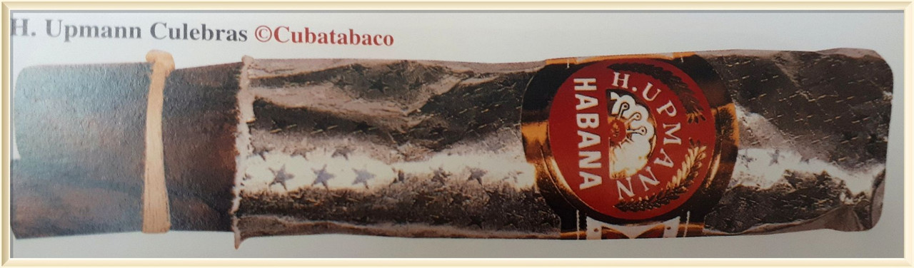 49130647243_4425b84dfe_o