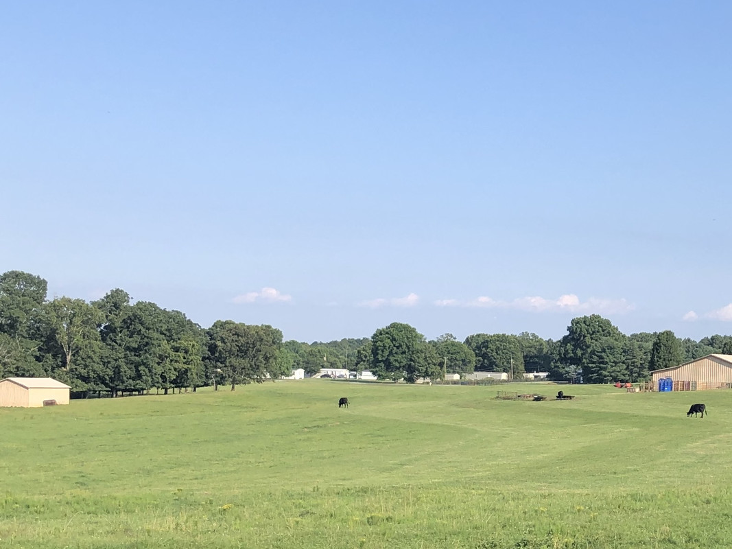 FA56A369-456E-436B-A745-A151D6045254