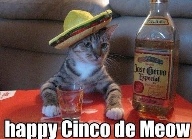 [Image: cinco.jpg]