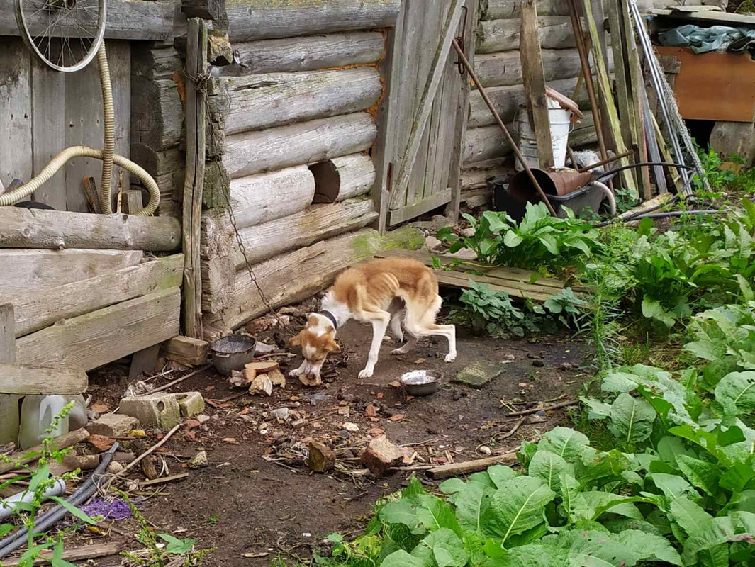 IMG-fe4a6ab35b6b3a2650a6b01821e9540d-V