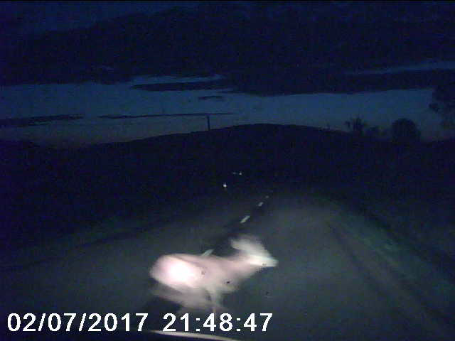 [Obrazek: deb70130f77bf9a0.png]