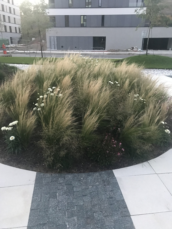 0194AA07-4D9B-4230-948A-DD3EDBB413E8