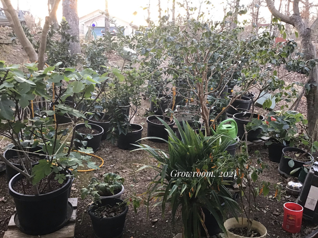 97B9E13B-189A-439E-B858-47EF8E913009