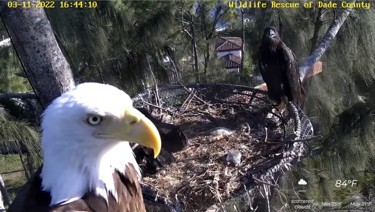 CB8E999D-4919-44BC-B7BD-F77F5E76180E