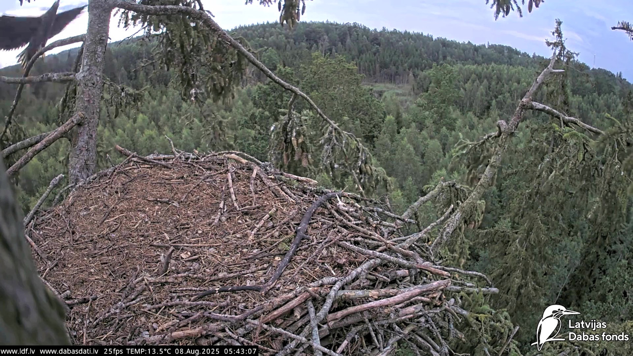 vlcsnap-2025-08-08-04h53m28s793