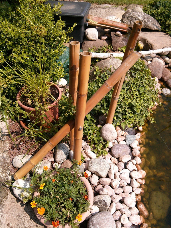 IMG_20130715_110655 (FILEminimizer)