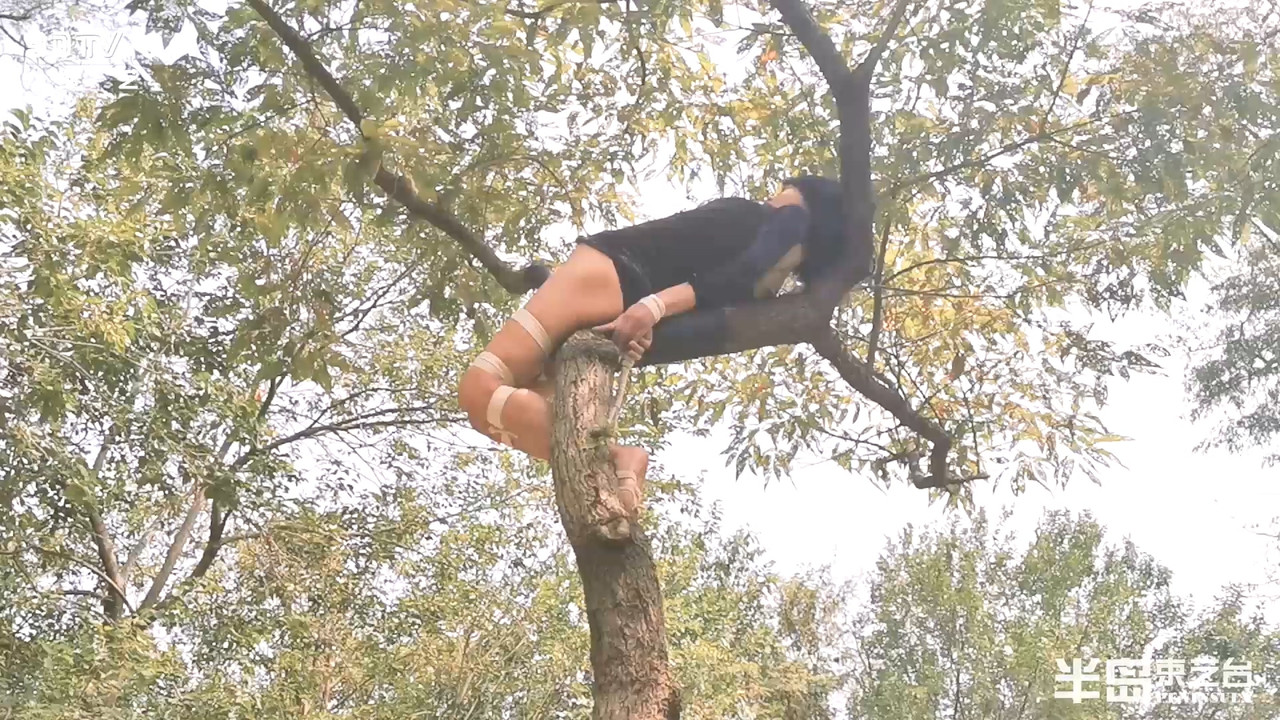 半岛束艺 这是什么造型啊，挺别致啊.mp4_20191022_190203.700