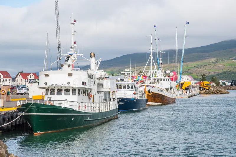 barcos-de-observaci-n-la-ballena-en-el-e