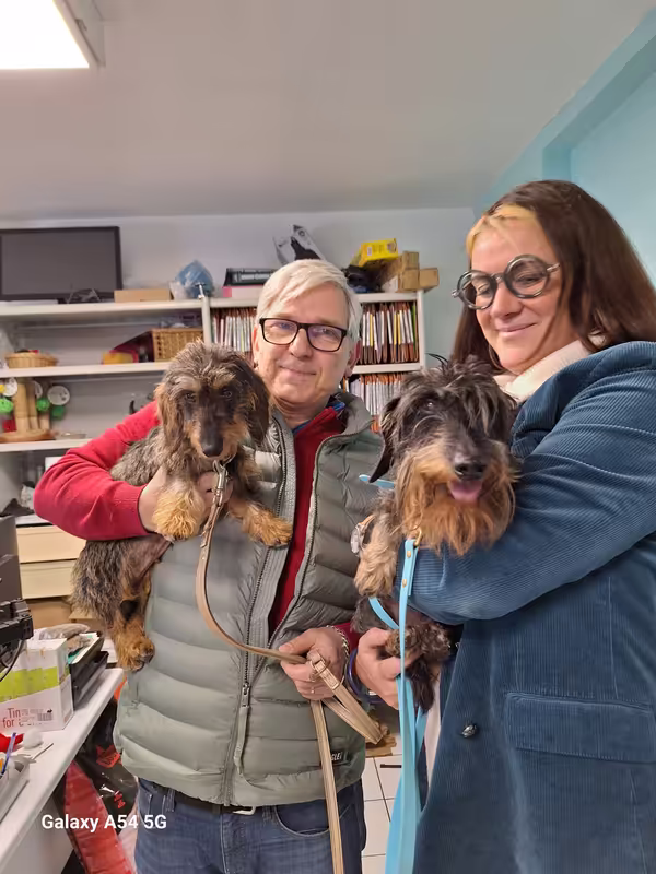 [Image: 20241109-153820.avif]