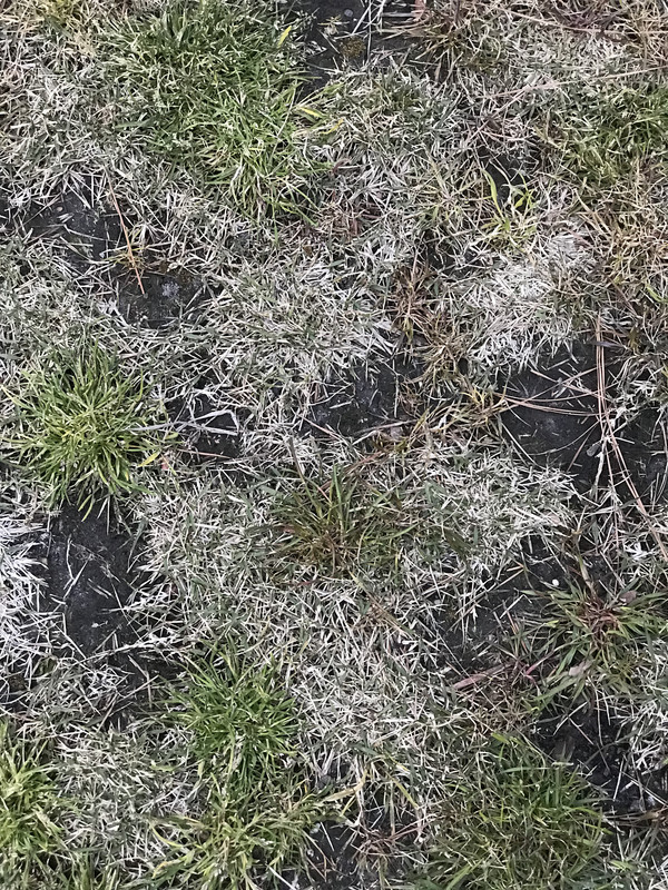 89BE93D2-6132-4E39-9646-CE2DA153E1FB