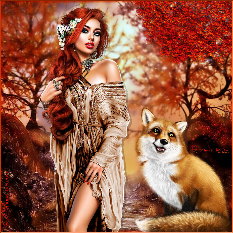 An den Beitrag angehängtes Bild: https://i.postimg.cc/pLYs3fw9/oie-DZ66k-XNWDJBj.jpg