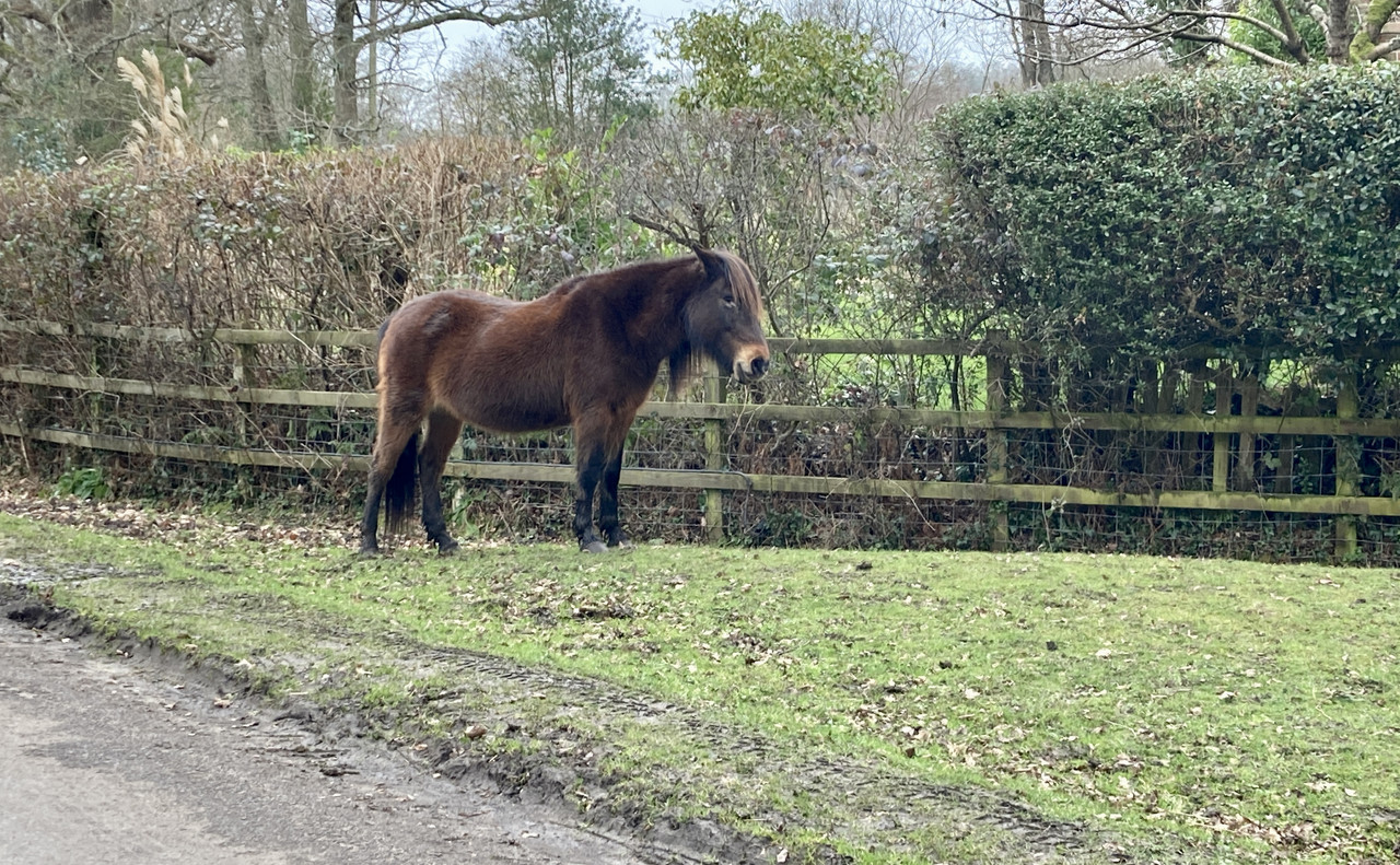 6133109B-A45C-4380-A2D4-11ACB9D3A6AB