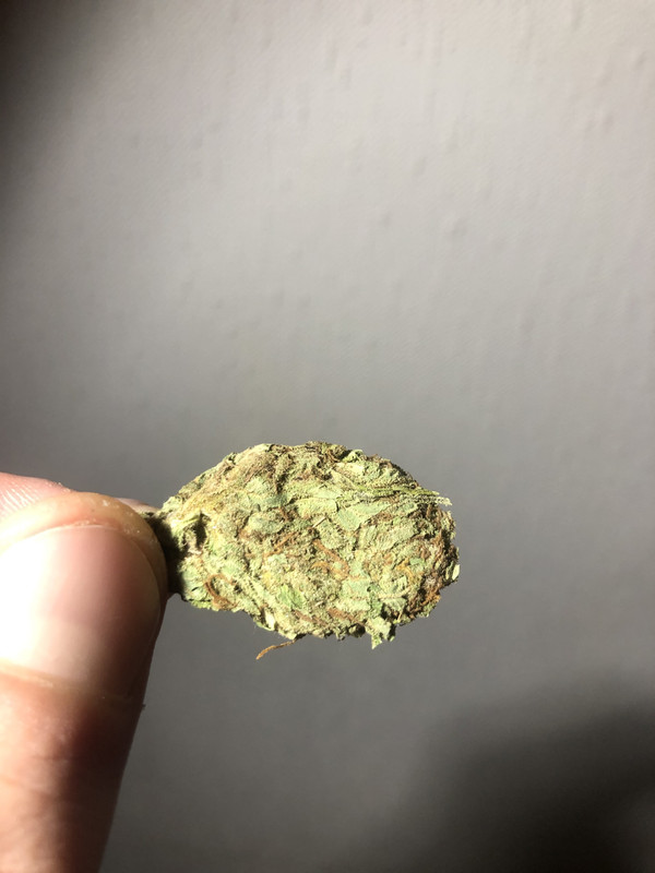 A453AEFA-11C9-419E-A615-89B172078C64