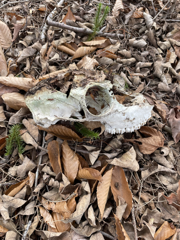 4872B1D4-A978-4E77-AD5A-3C667455B829