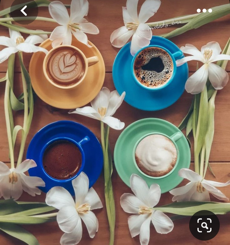 Screenshot_20230426_223209_Pinterest