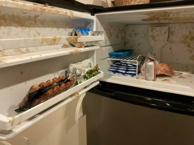 Fails-19