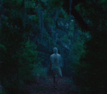 IMG-5563.gif