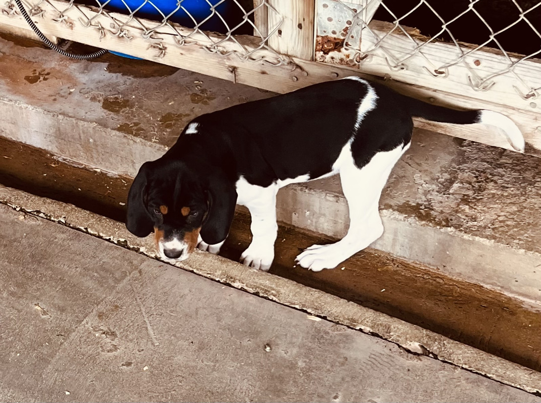 743A47DD-BDAE-43BA-BA4C-5BAACE1C4B8E