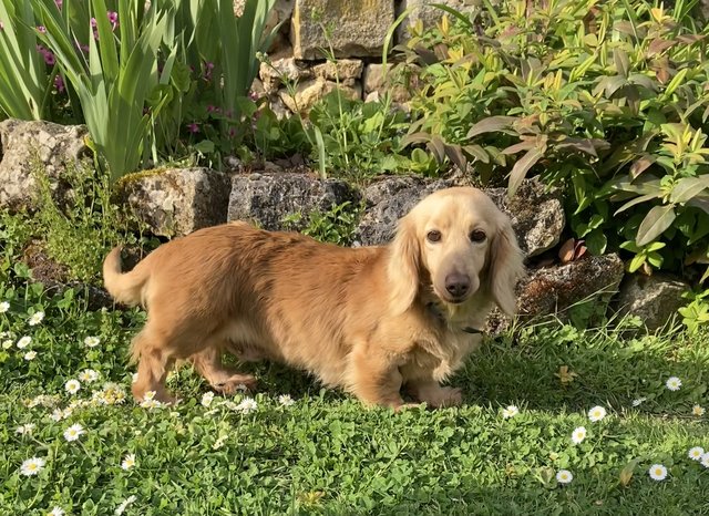 [Image: IMG-1234.jpg]