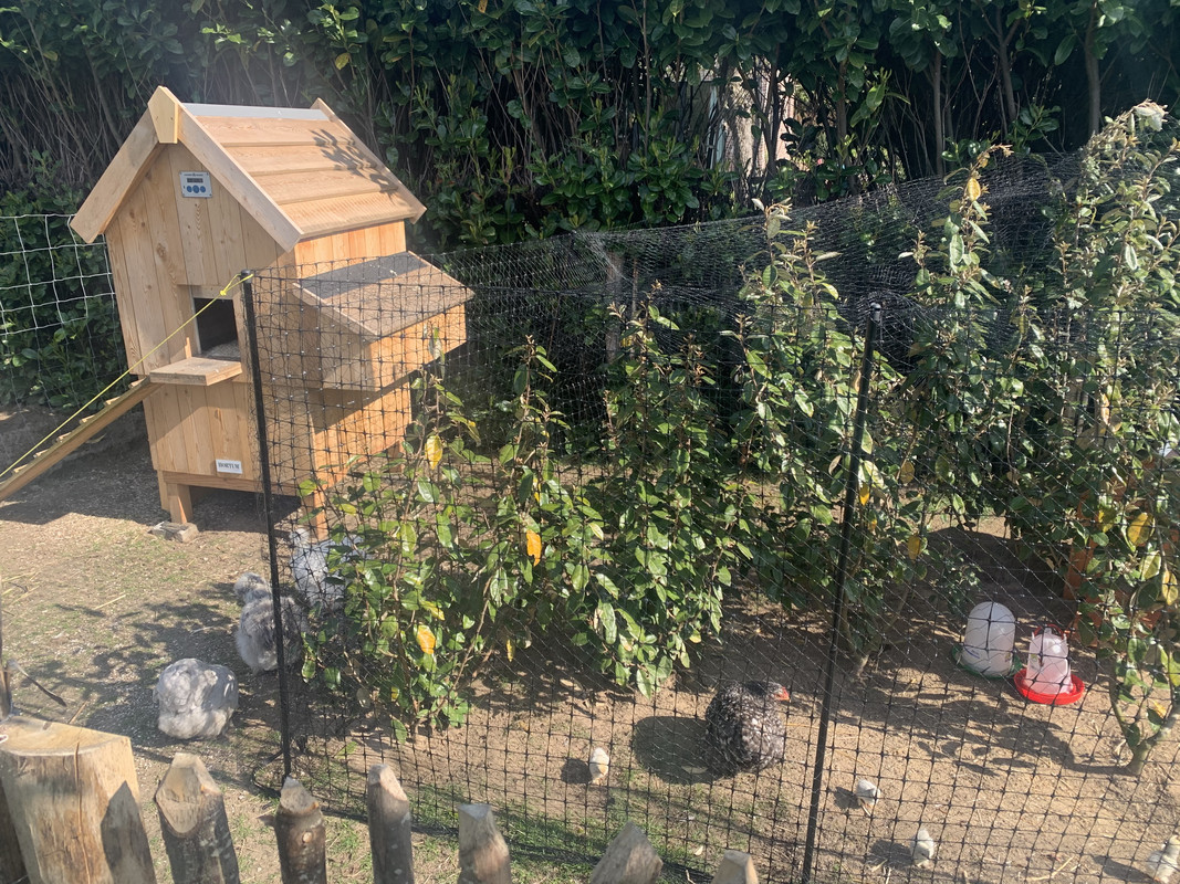 04F07853-D94A-44C7-891E-E740C2D62B97