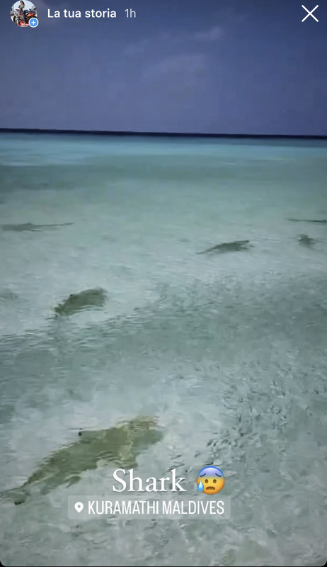 ECD28802-DCAE-4FDE-BA28-5BFD31A4B3C0