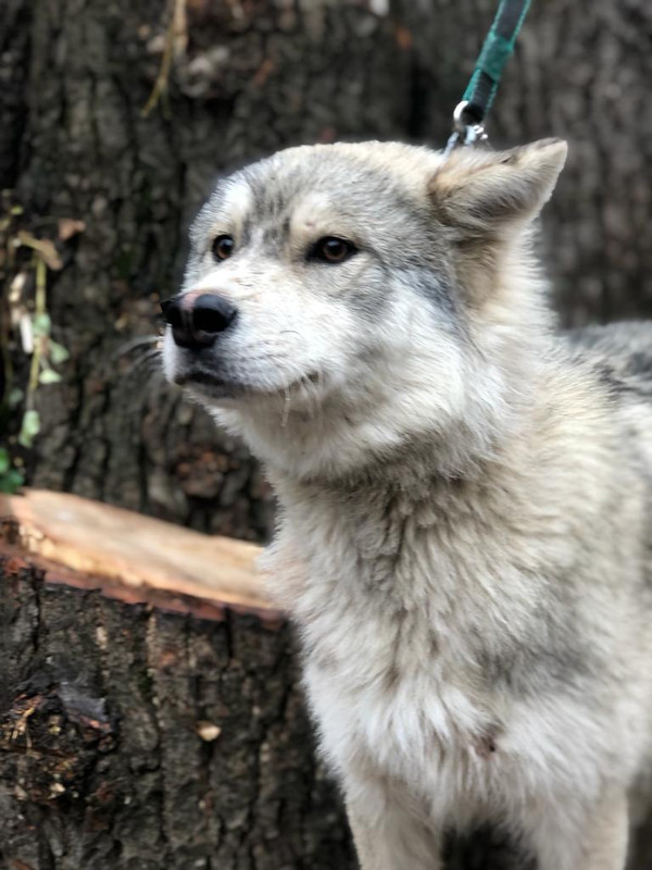 WhatsApp Image 2022-09-07 at 15.46.15 (1)