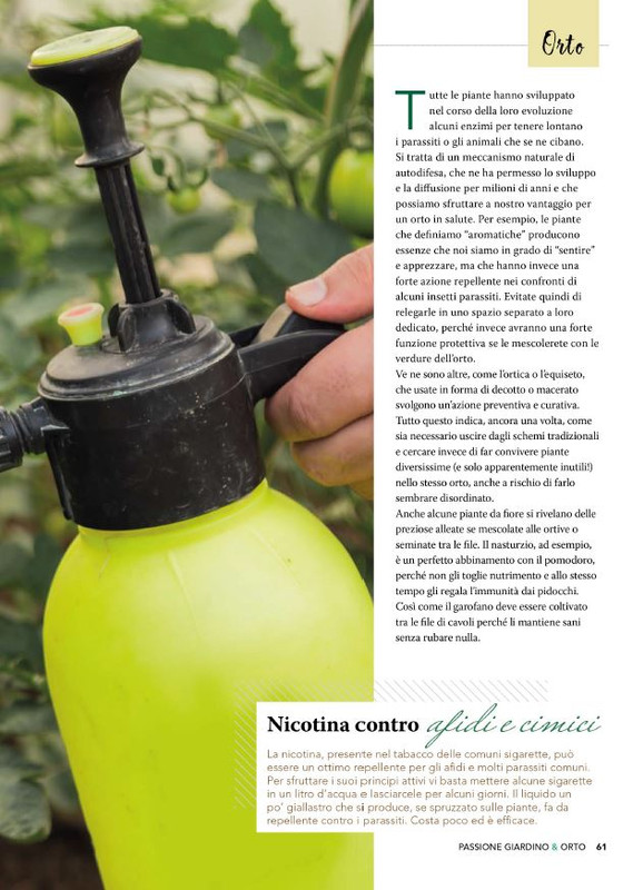 Pass Giar e Orto Apr-Mag 2025 (4)