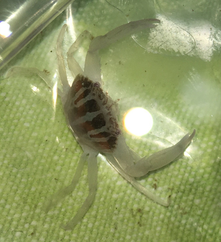 F5009F1C-CDA1-42DD-BBF3-E22C1B8500C3