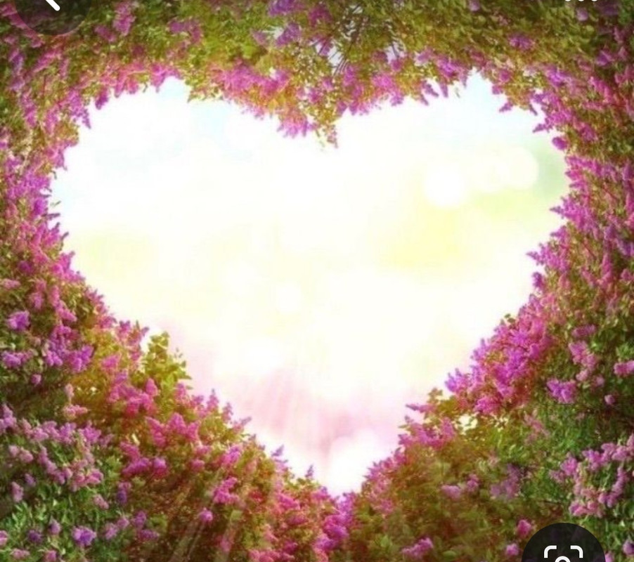 Screenshot_20240212_005211_Pinterest