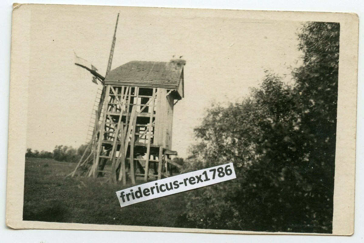 Foto Russland Ostfront HKL Windmühle Windmill zerstoßen mit Storchennest.