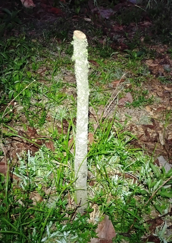 IMG 20260413 064850208 2