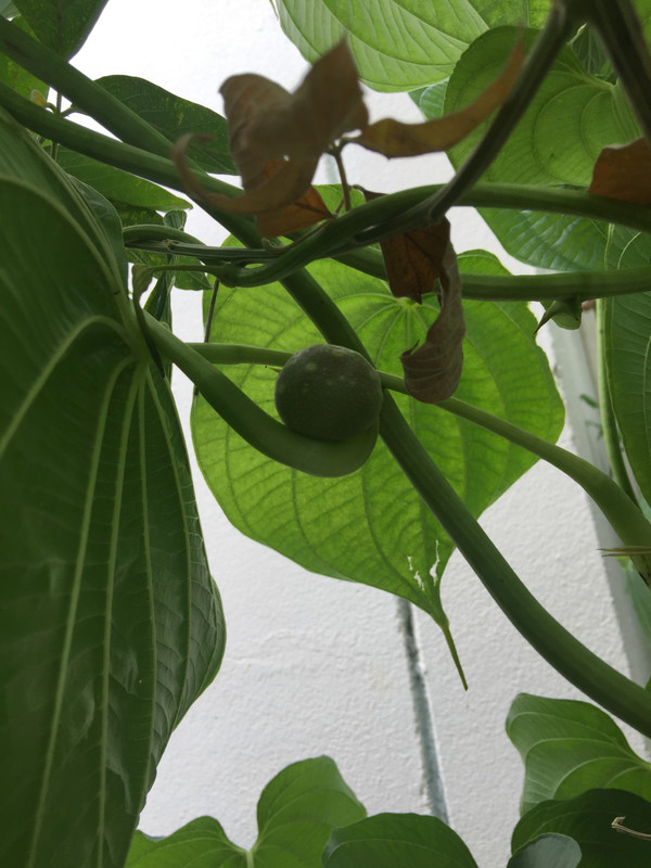 19819C83-98D1-4339-9475-F86FDF68F056