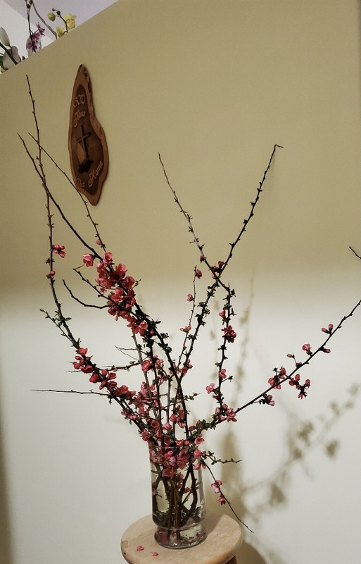 D2430B18-7D63-4FFB-B461-34449E9115DA