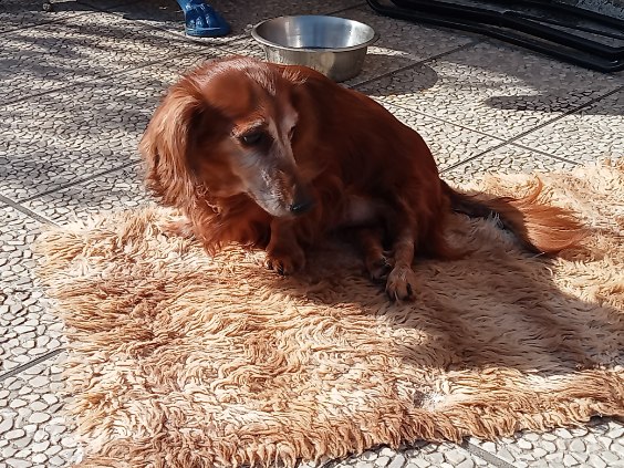 [Image: IMG-20250320-080126.jpg]