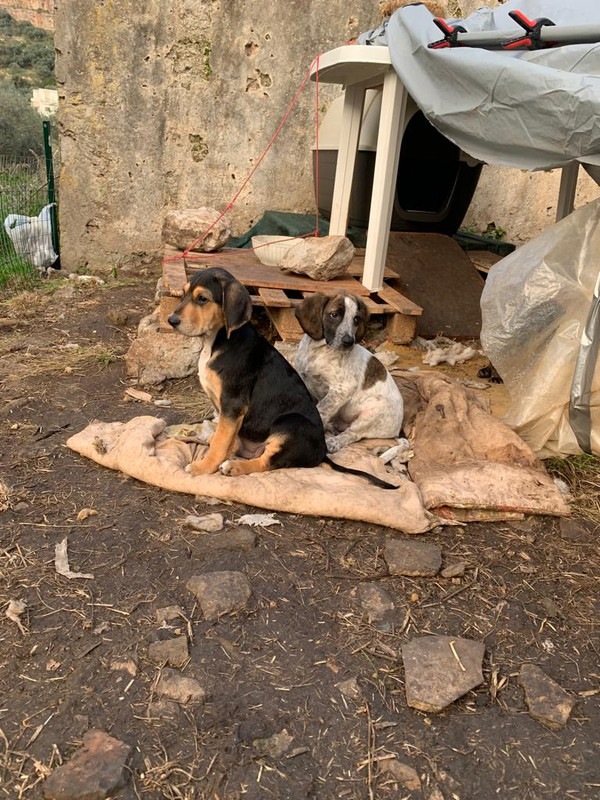 FDF2FBD9-B937-40F9-A27D-1669C6180381