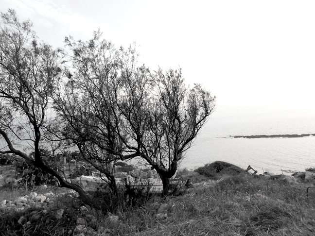 Εικόνα