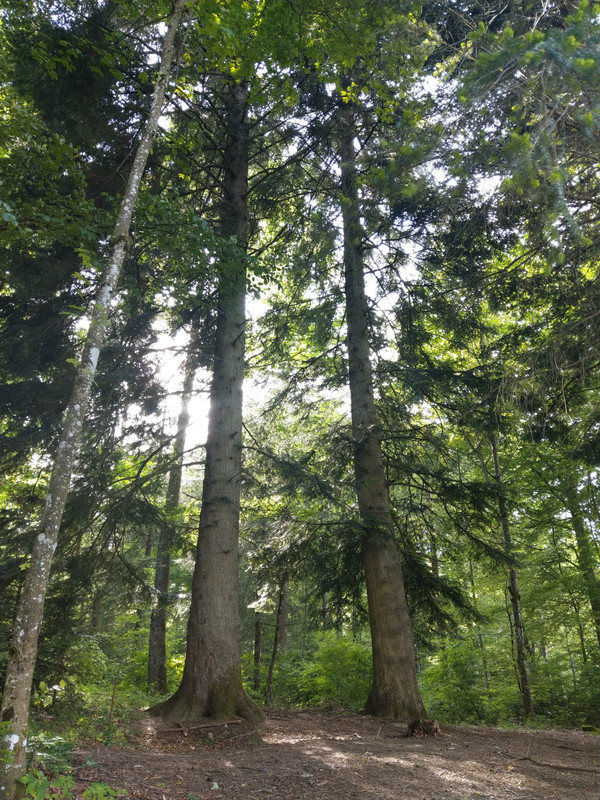 4E044658-A3EE-4B5D-AD5A-DDE212FE9DBF