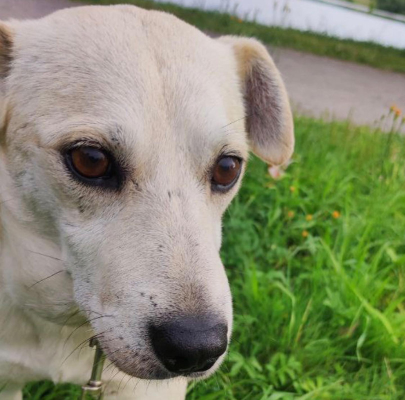 5000D41D-C91A-4EB2-90D6-5DBE27AB248A