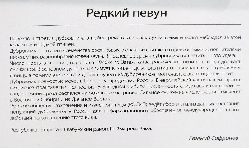 https://i.postimg.cc/pLd2n1K3/079-IMG-4444.jpg