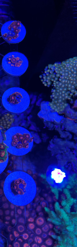 8CFE9077-6B62-413C-9137-0AD124CBDB5A