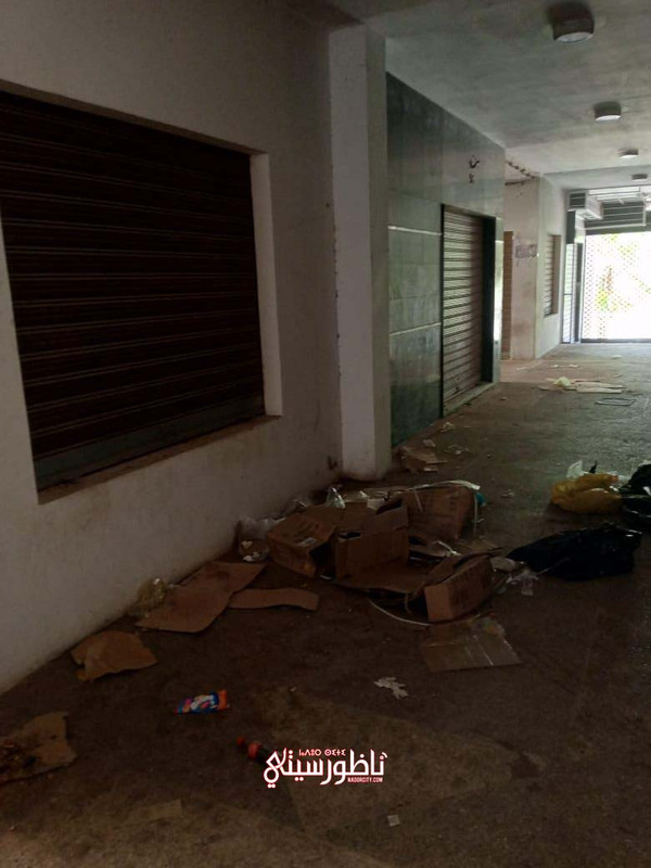 Whats-App-Image-2024-11-12-at-16-33-45-7dd1dc14