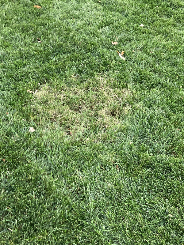 26CE924B-5EAF-4349-B091-CC6875D85274