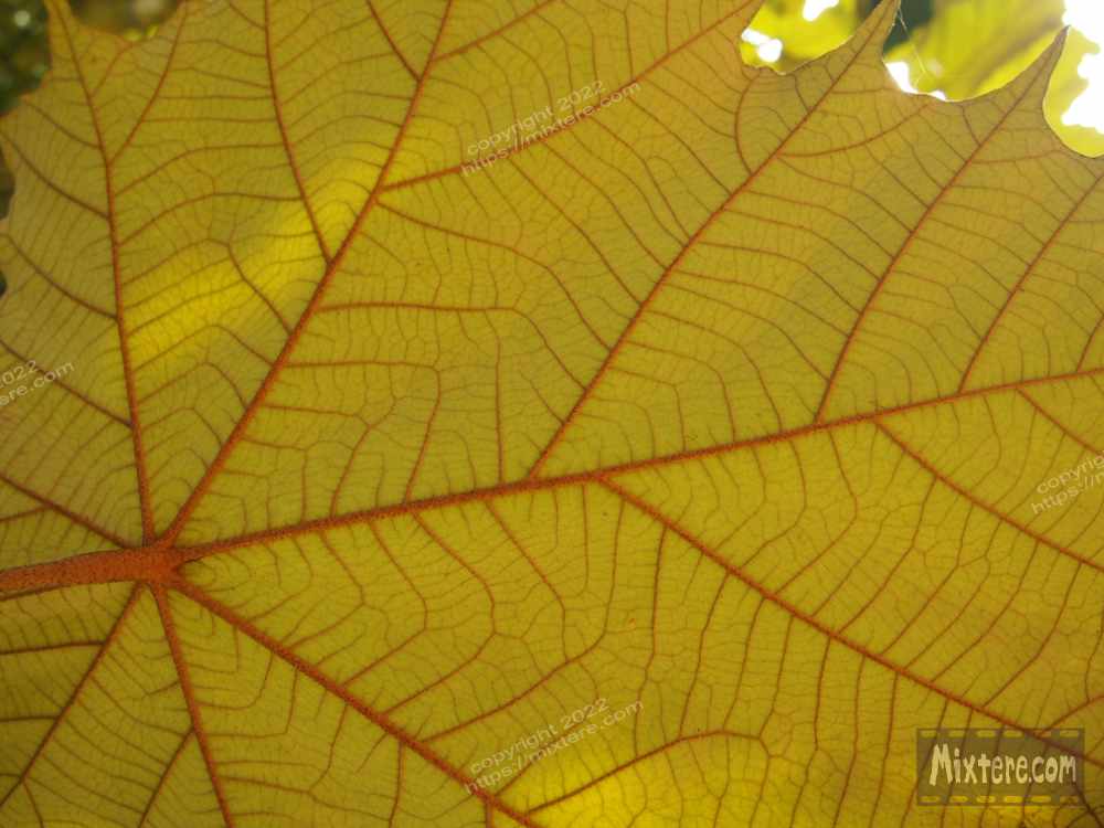 BBG&B6AroundTheGuesthousePics - 5