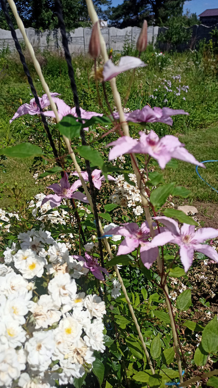 IMG20230708122807