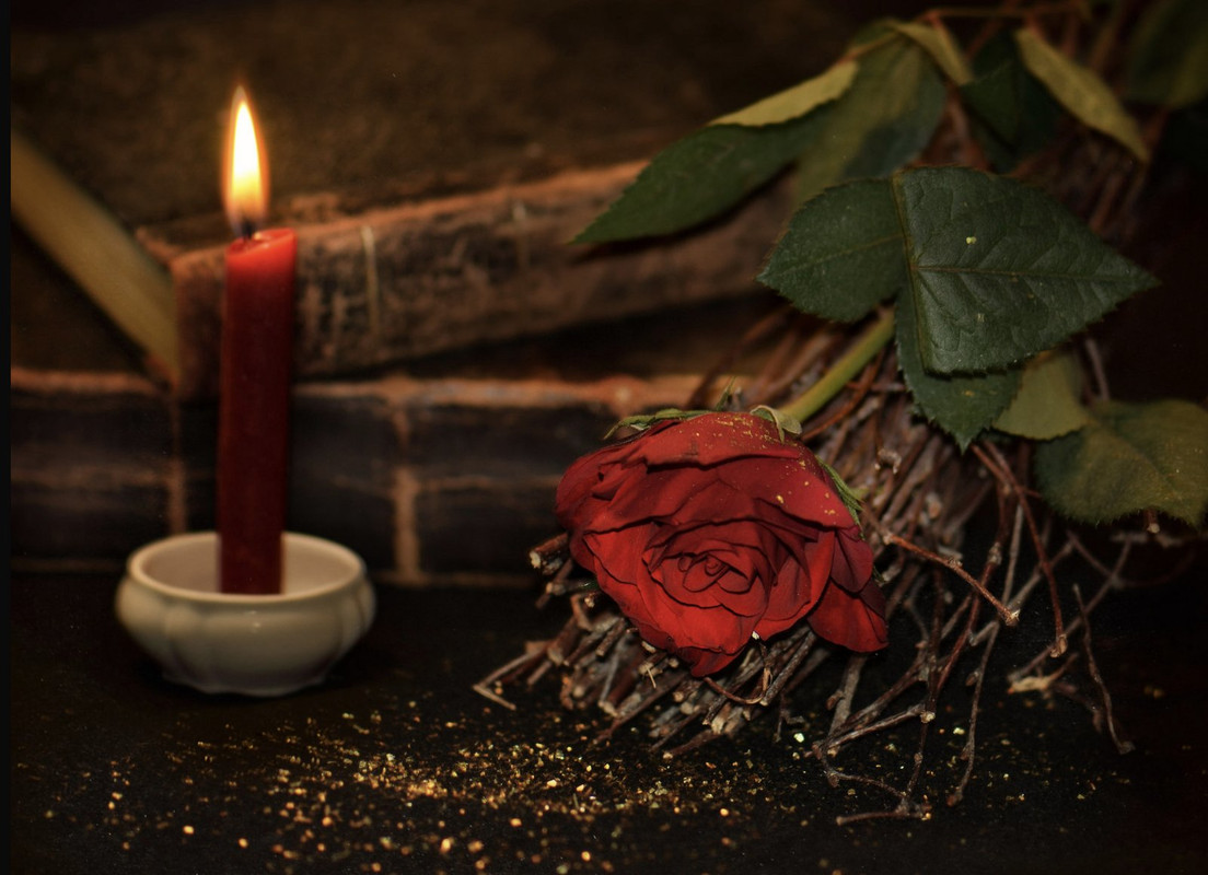 red-candle-flower.jpg