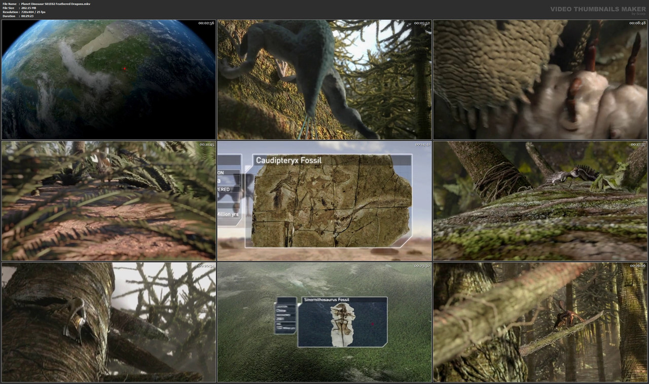 Planet Dinosaur S01E02 Feathered Dragons.mkv