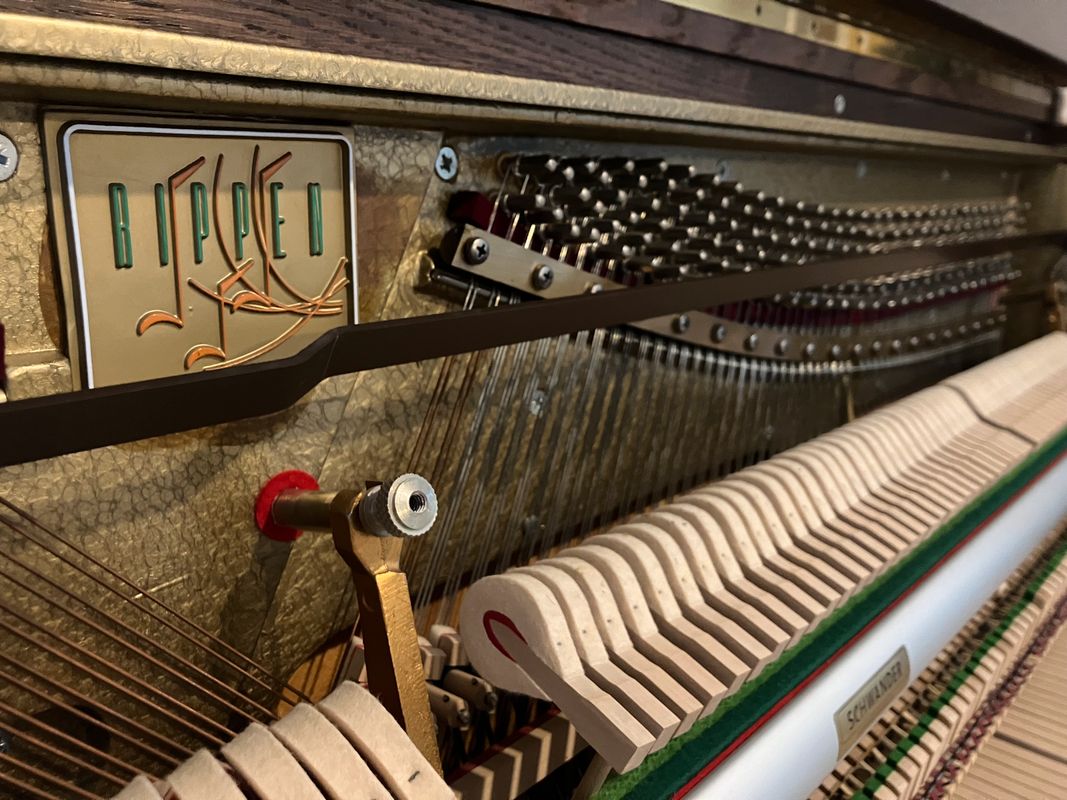 88cc3dce47794523e4969986005b56130b49296d