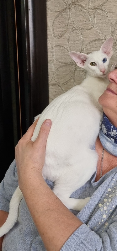 Screenshot_20221015_083427