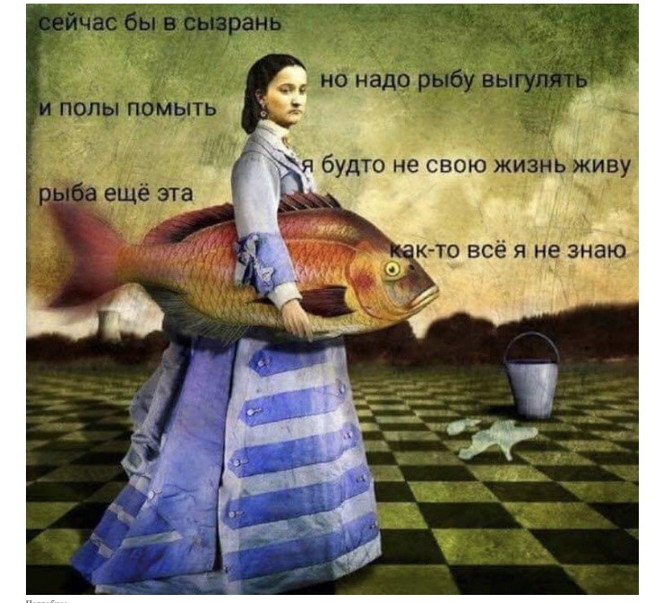 IMG-644ad9d852dc3144abdb1463c297dbe9-V_optimized