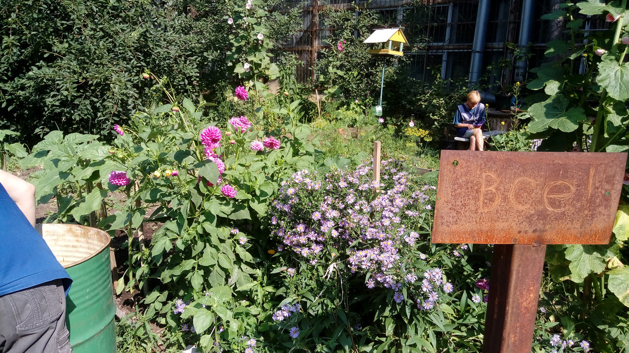 20170727_093930_Burst02[1]